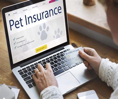 is pet insurance worth buying.